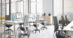 Premium shared office space in Hadapsar Pune