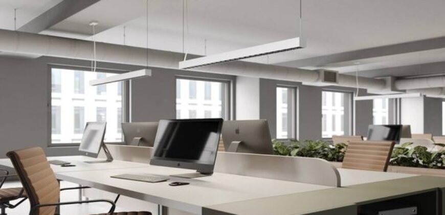 Premium Furnished Office Near EON IT Park